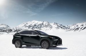 Lexus NX300 F-Sport Black Line 2019 года  (NA)
